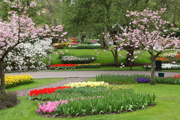 Tippek a tavaszi kert megújításához